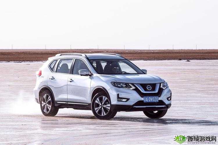 日本无人区码 SUV:神秘的探险伙伴