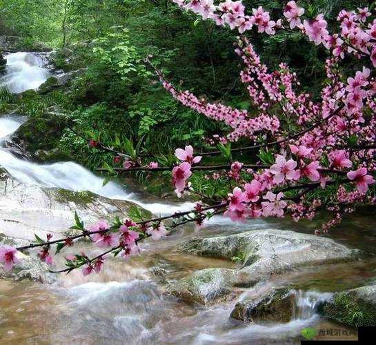 桃花洞口溪水潺潺,景致迷人