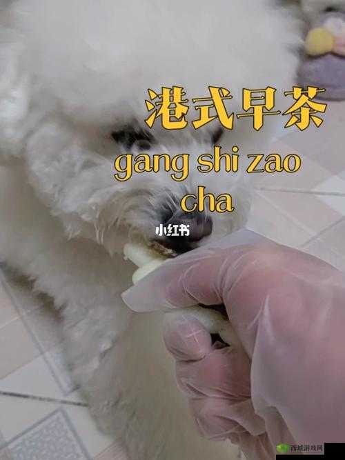 人狗胶配方大全免费天:全新完整呈现