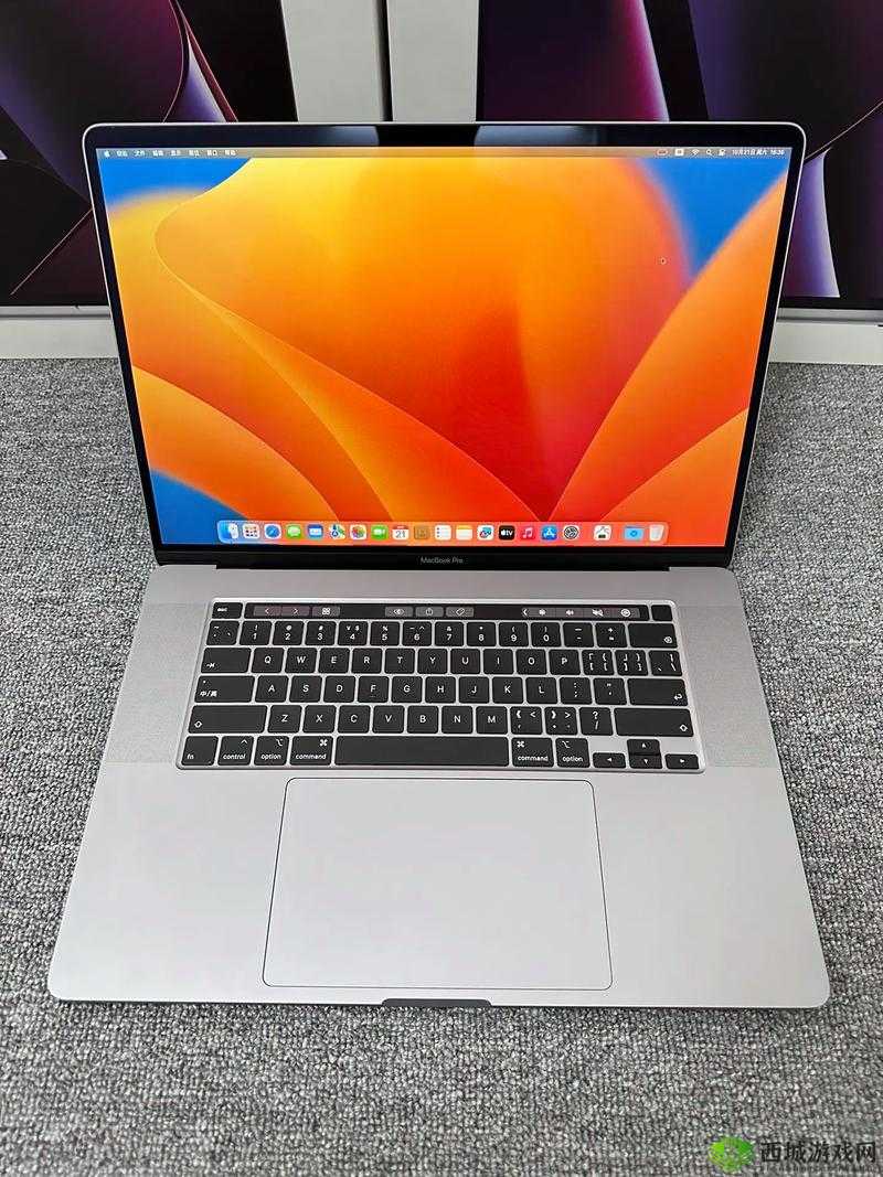 19 岁 MACBOOKPRO 欧美:青春与科技的碰撞