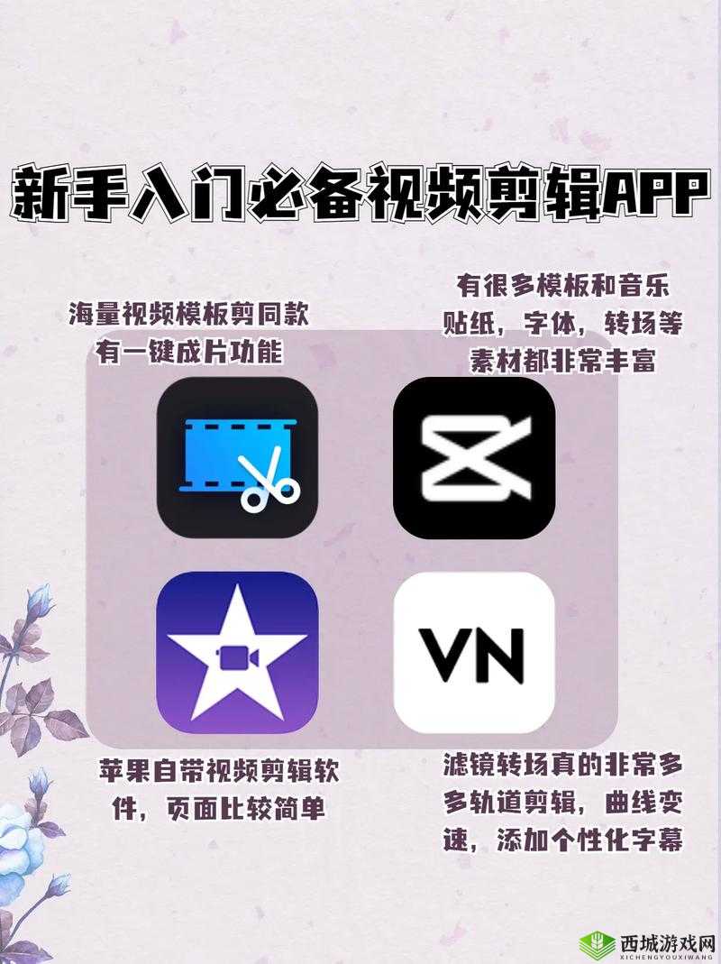 成品短视频 APP 软件大全推荐：各类热门软件尽在其中