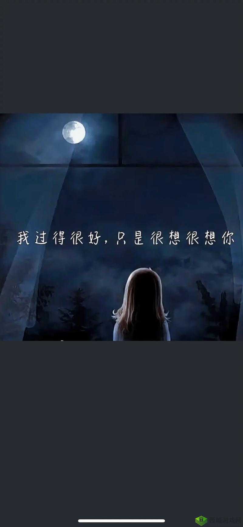 我想你高清 MV 观看：无尽思念，触动心弦