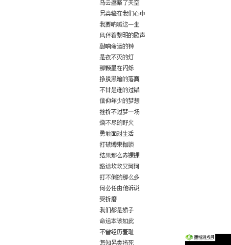 抖音热歌航板：旋律动感，歌词深情，带你领略别样风情