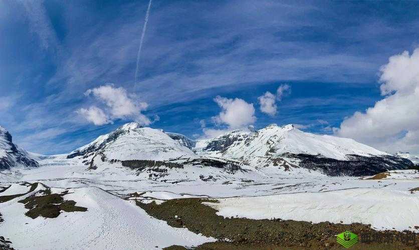 冰原守卫者遗忘之塔完美通关攻略：征服冰原，守护家园