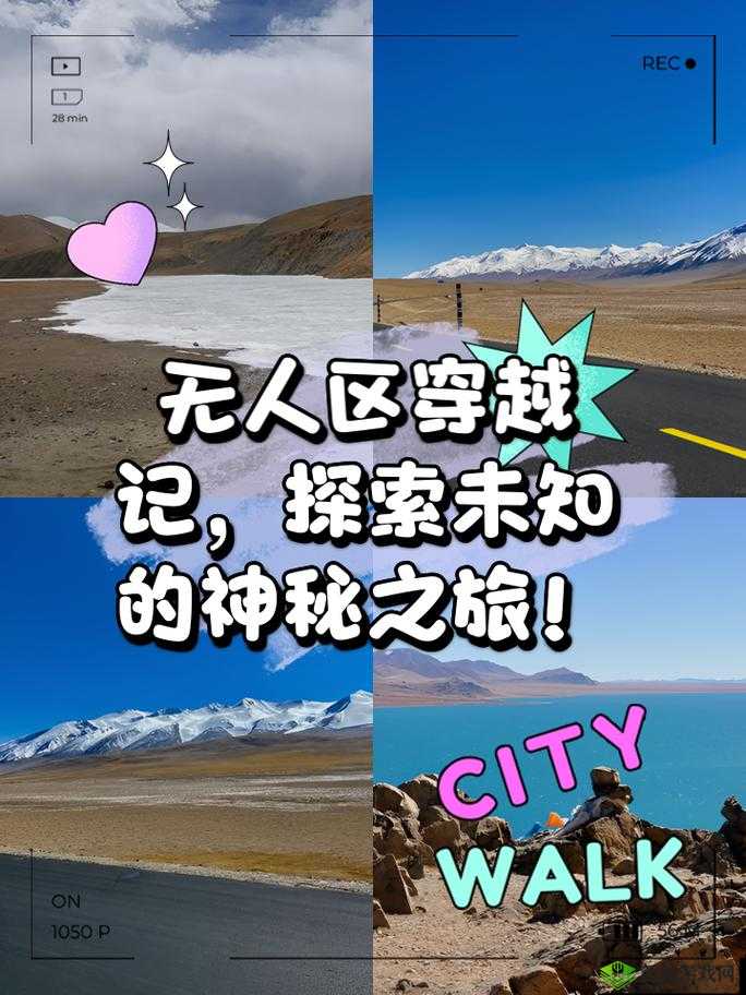 无人区编码 6229JM 探秘：未知世界的神秘之旅