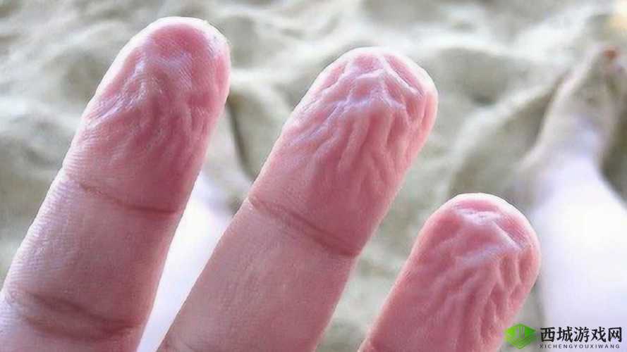 手指划入缝隙挖水：艰难的取水尝试