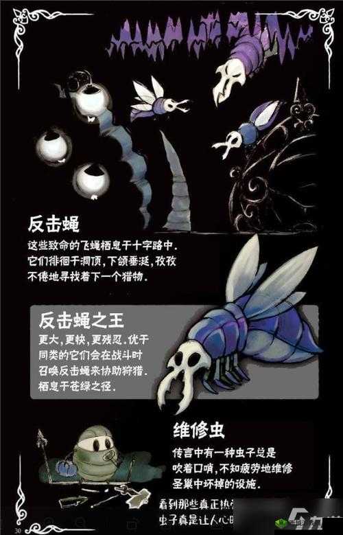 《骑士终极英雄强化全攻略：迈向无敌力量的秘籍》