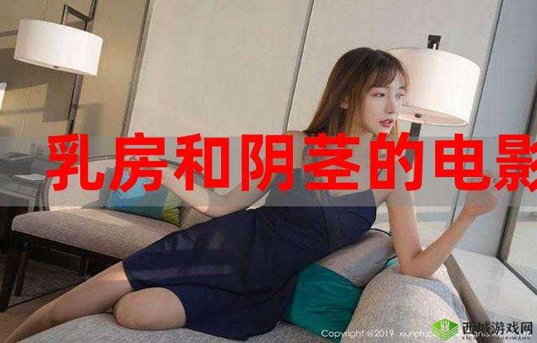 av 电影在线观看：成人影片的私密世界