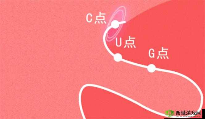 学生自 W 到高 C 的 25 种方法全解析及提升技巧