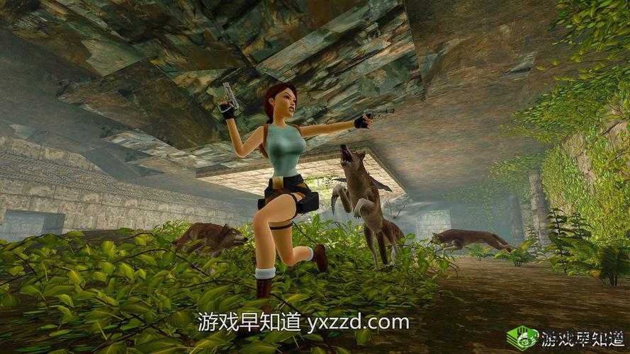 Xbox 在线观看高清视频教程：轻松享受极致视觉体验