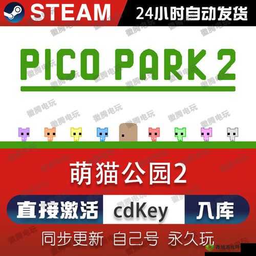 全面解析Picopark游戏玩法，团队协作、趣味解谜与快节奏挑战一网打尽