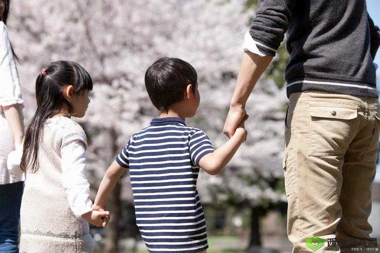 最新在线观看免费高清儿童:守护孩子的纯净视界