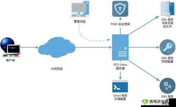 大肥胖VPSWINDOWS:一款独特的虚拟专用服务器系统
