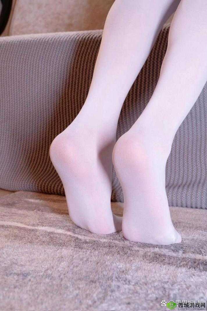 白丝小仙女自慰:诱惑与满足的私密时刻