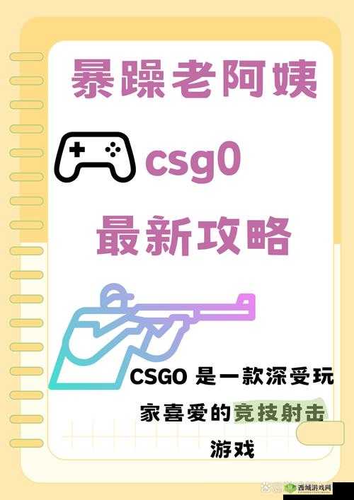 暴躁老阿姨CSGO技巧大全:实战进阶必备指南