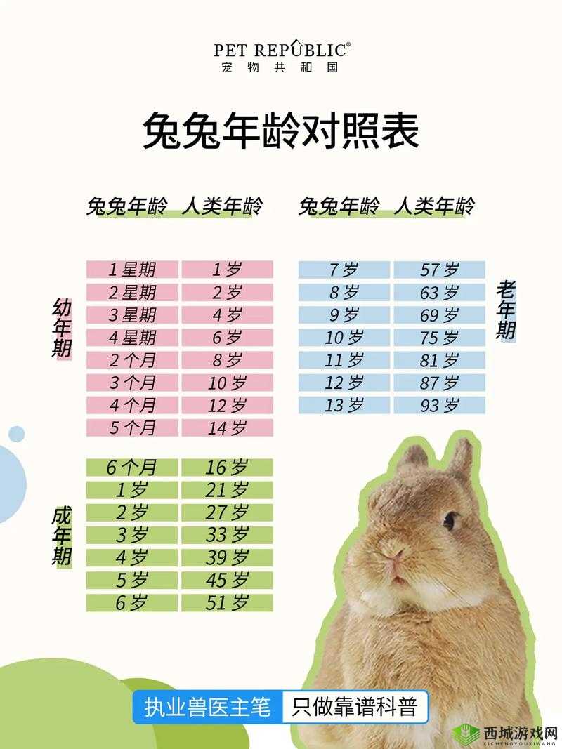 编个笑话找兔子攻略：如何通过幽默找到心中的兔子