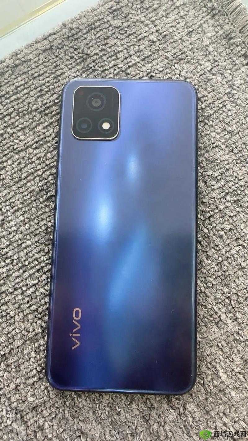 手机界品质新宠 Y31s 标准版:引领非凡体验