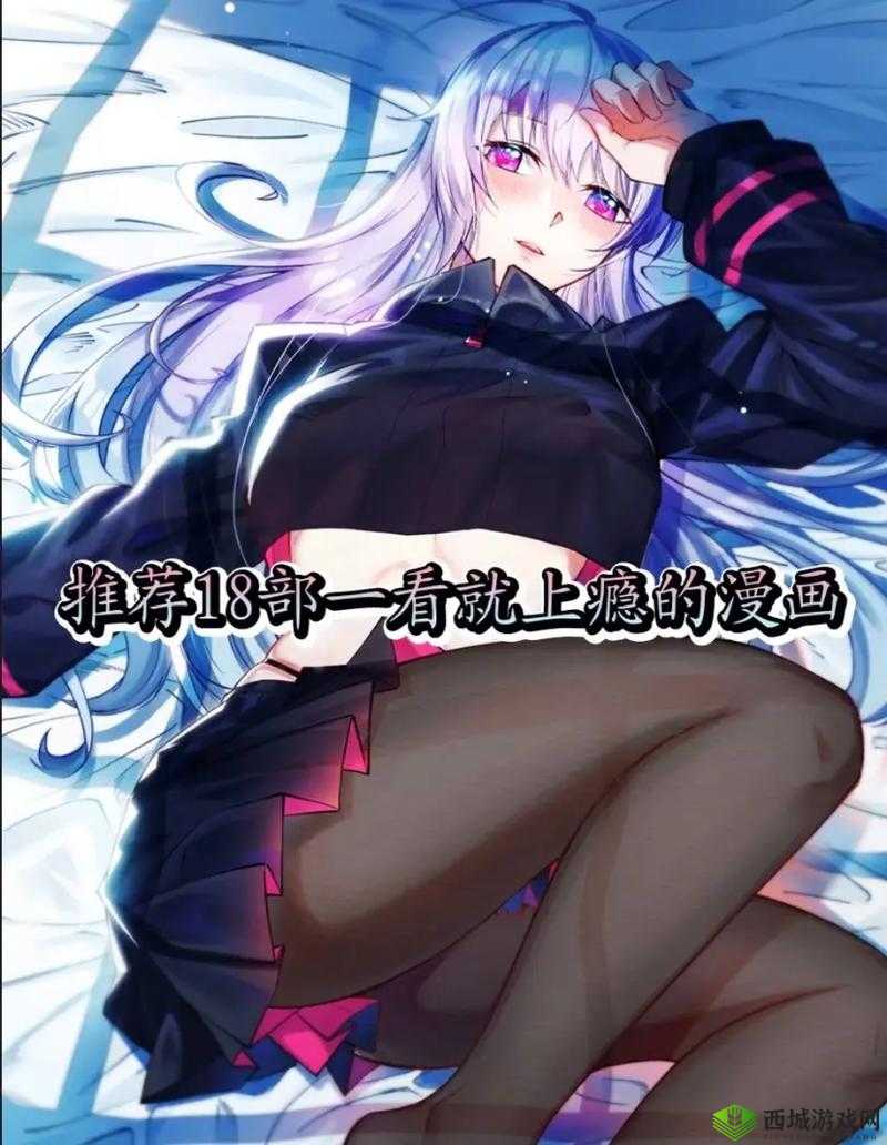 次元派漫画网页登录页面:开启精彩漫画之旅的入口
